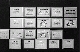 Cue Cards